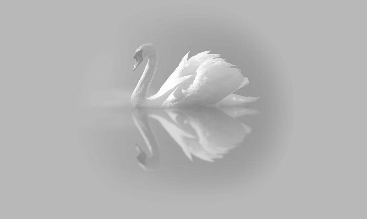 Passieconcert - Amandi Consort