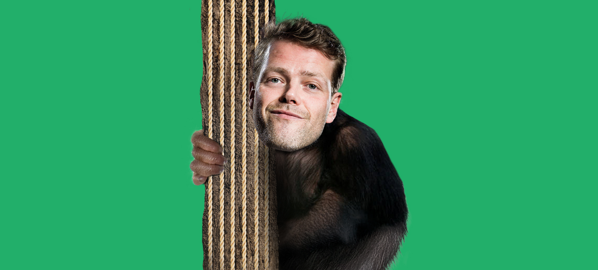 Een aap die geen bananen eet feature image