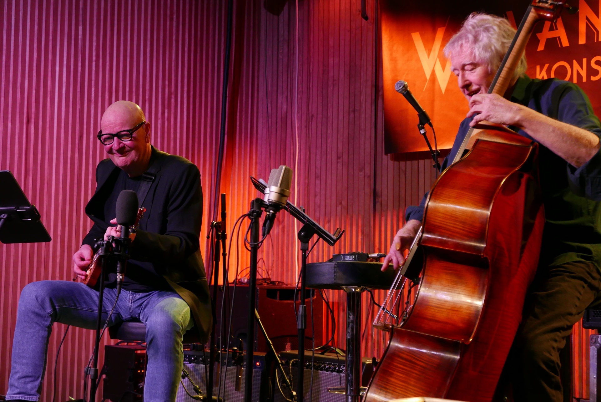 Arild Andersen og Frode Alnæs DUO