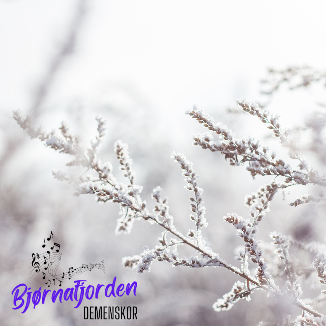 Bjørnafjorden demenskor med gjestar