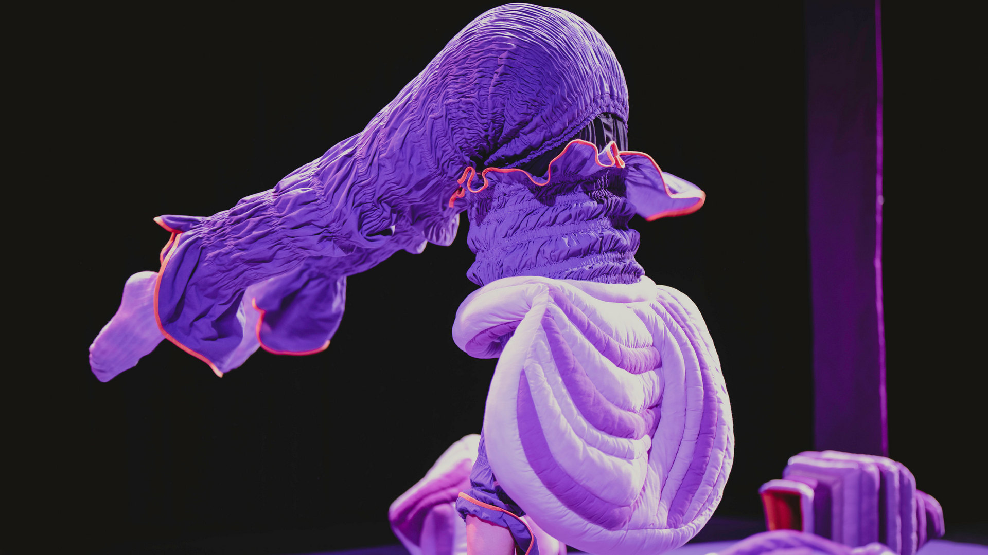 Bilde for arrangement Himstregimser og andre duppeditter