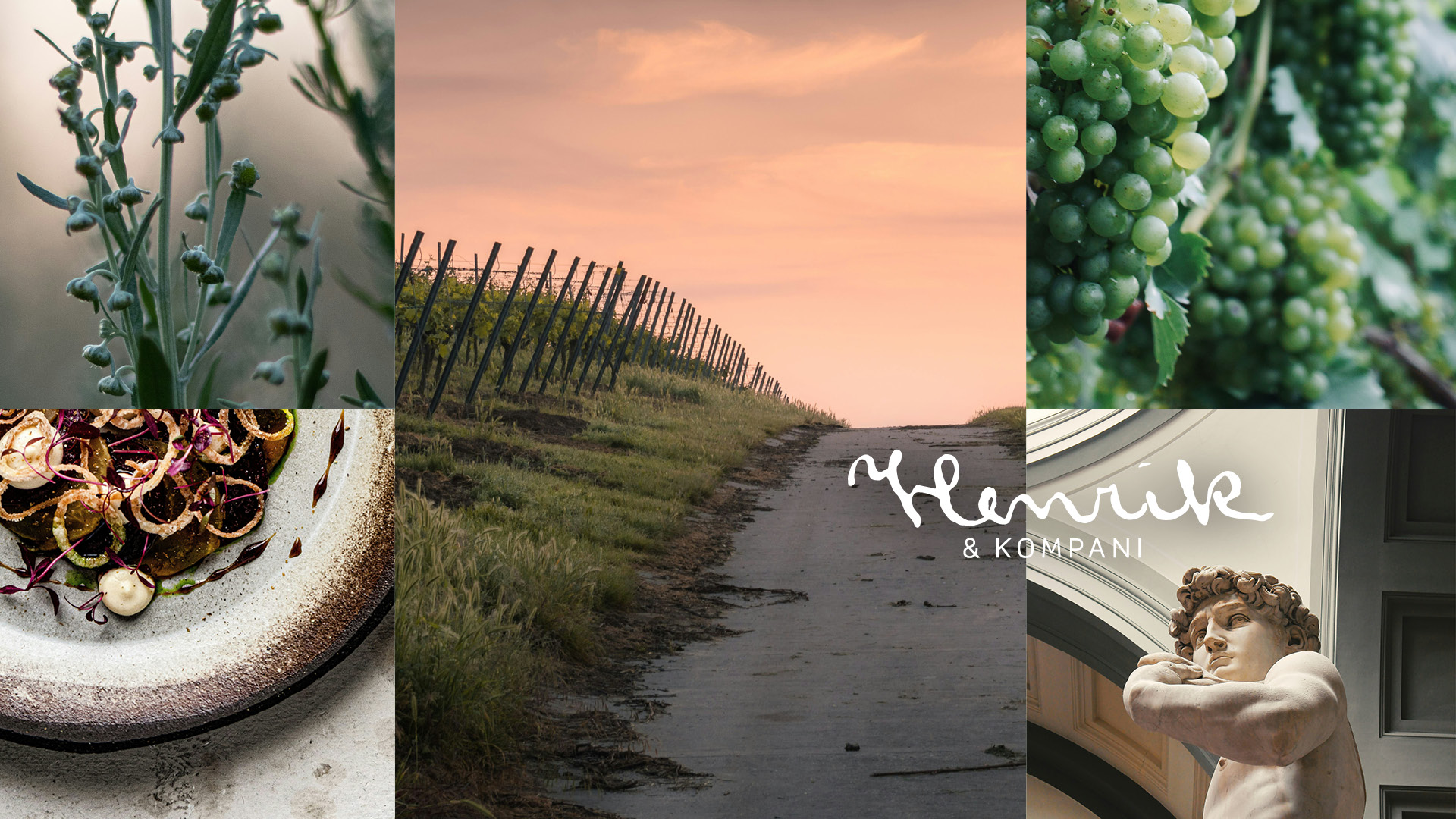 H&K Vinsmaking med Ghisolana og Frigo wine 4-retters