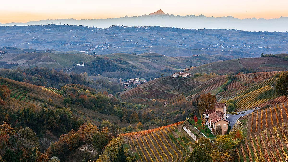 Vinreise i Langhe, Piemonte