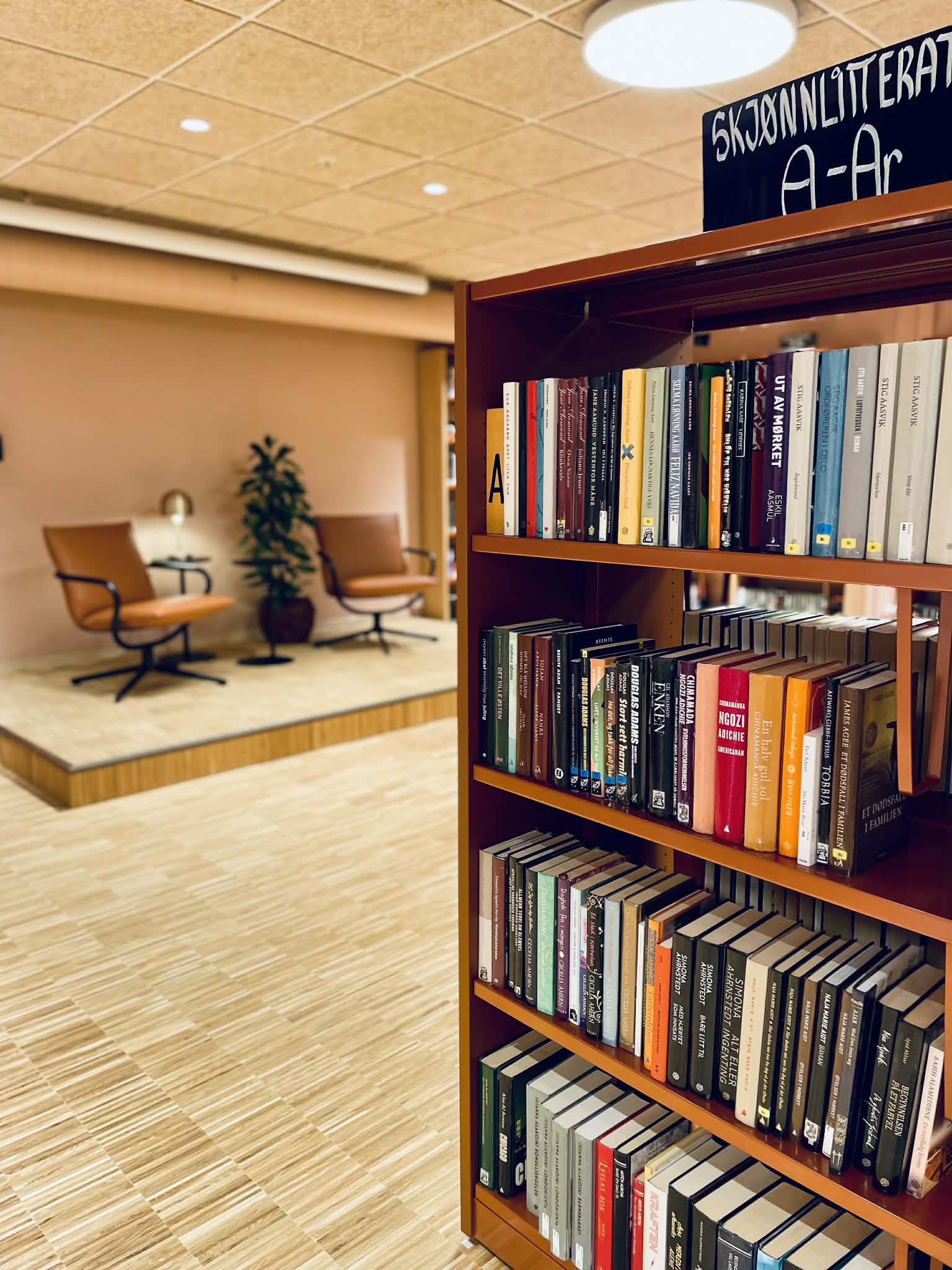 Placeholder - illustrasjonsbilde