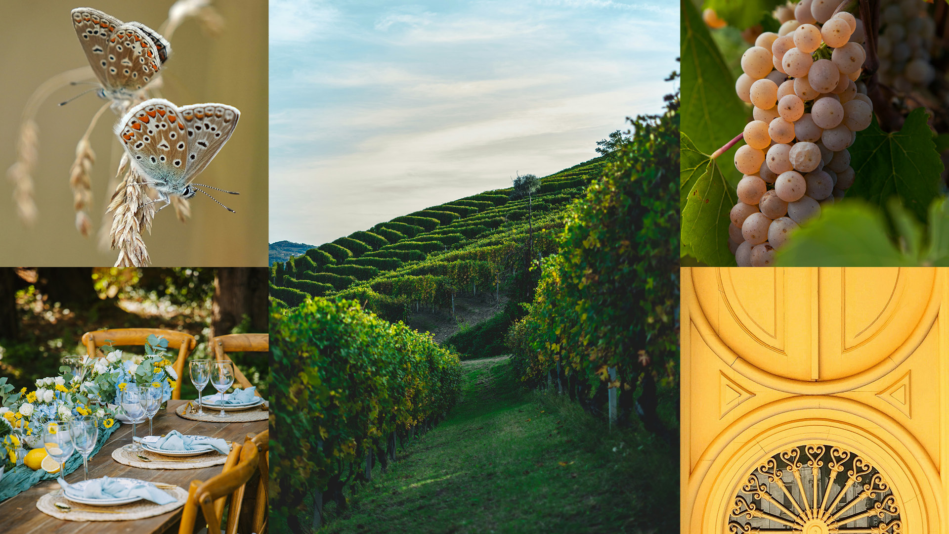 Sommermat & Sommerviner med den italienske vingårde Le Rive