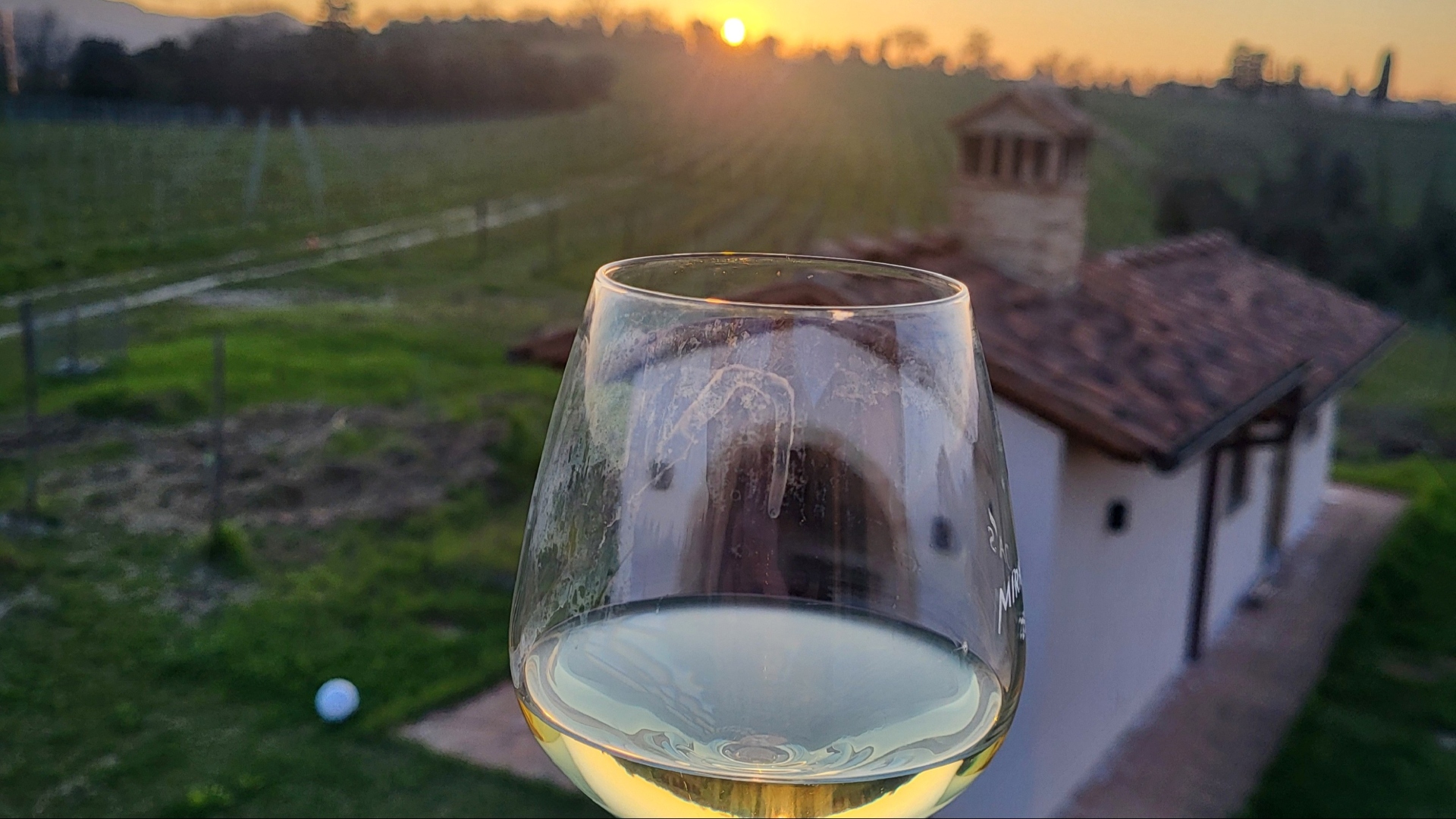 Sangiovese - Toscansk konge