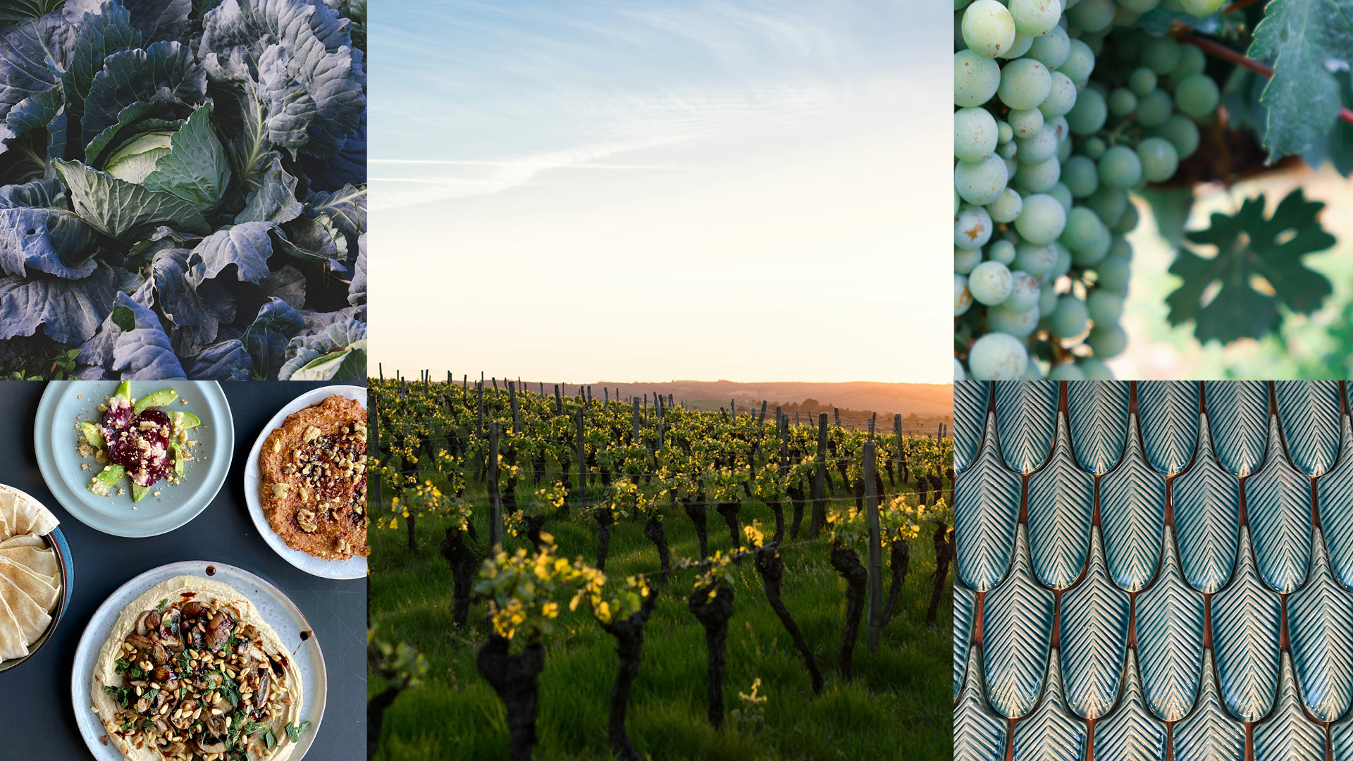 Autumn lunch with wine tasting from Valpolicella