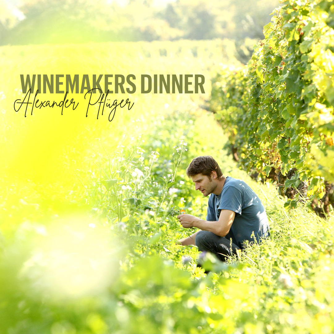 Bilde for arrangement Winemakers Dinner - med Alexander Plüger & Natia Kurua