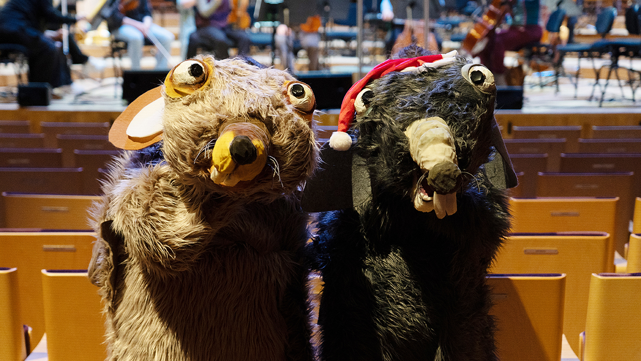 Bilde for arrangement Barnehagekonsert med Stavanger Symfoniorkester: Julerotter 2