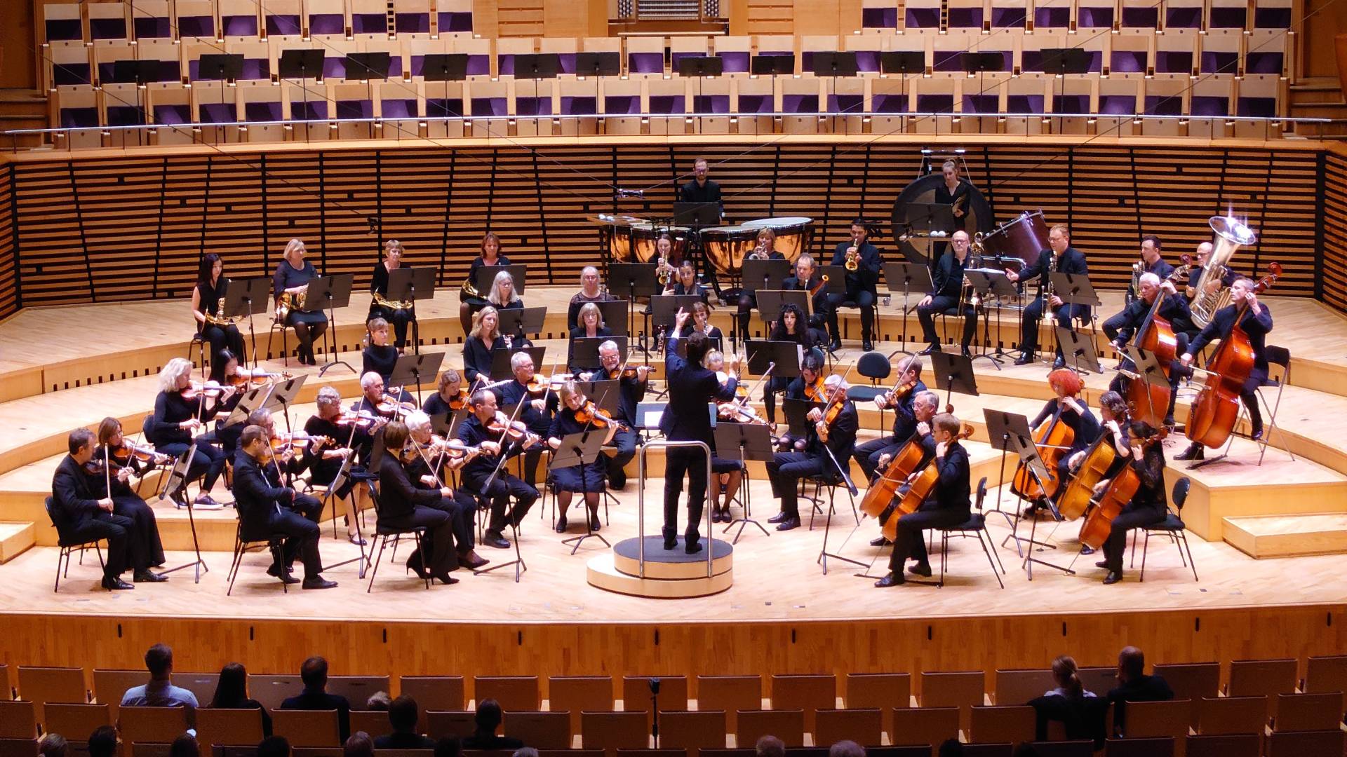 Bilde for arrangement Bjergsted Symfoniorkester