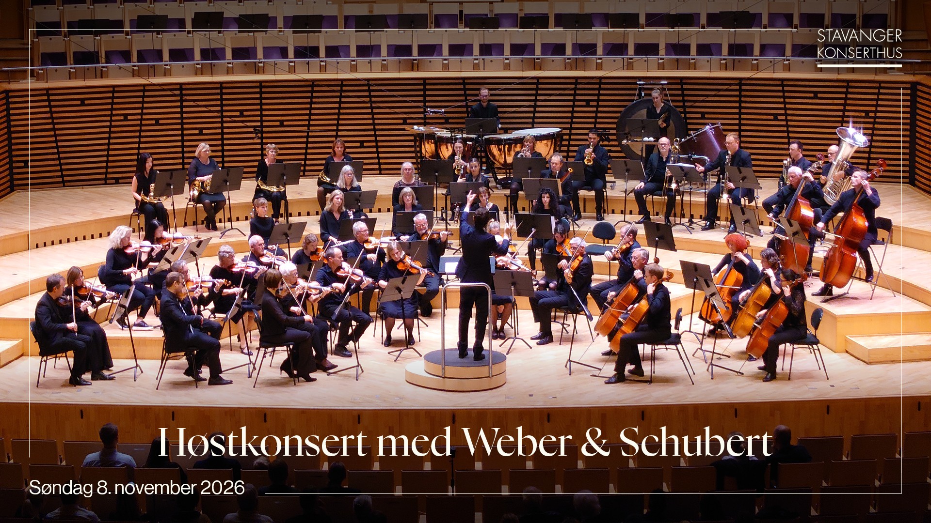 Bjergsted Symfoniorkester
