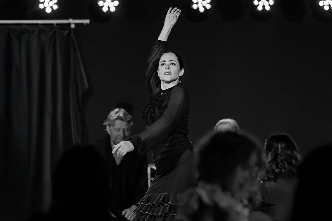 Workshop i Flamenco