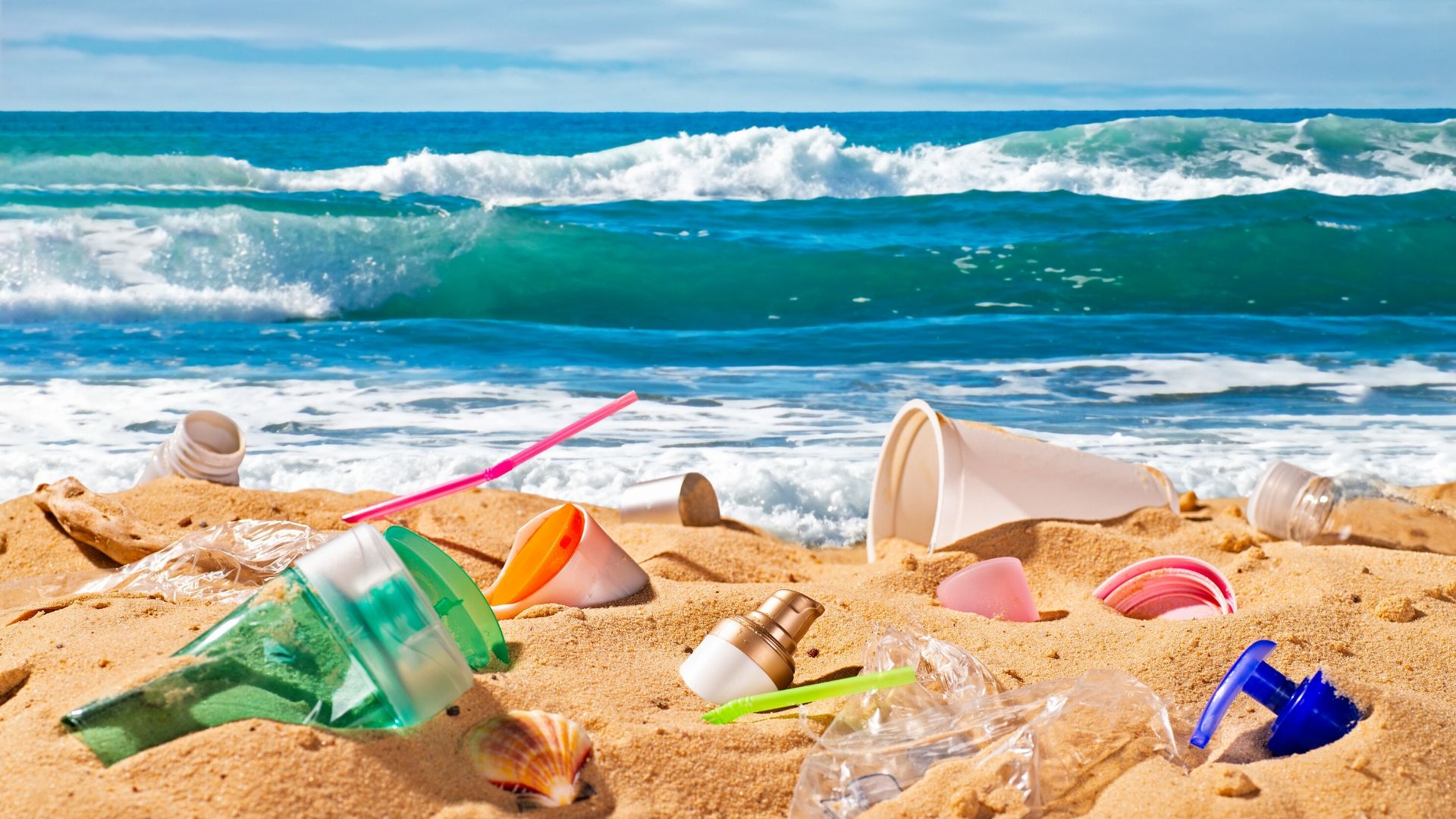 Image representing Plastic - Workshop, discussion and beach clean from The Astor Theatre