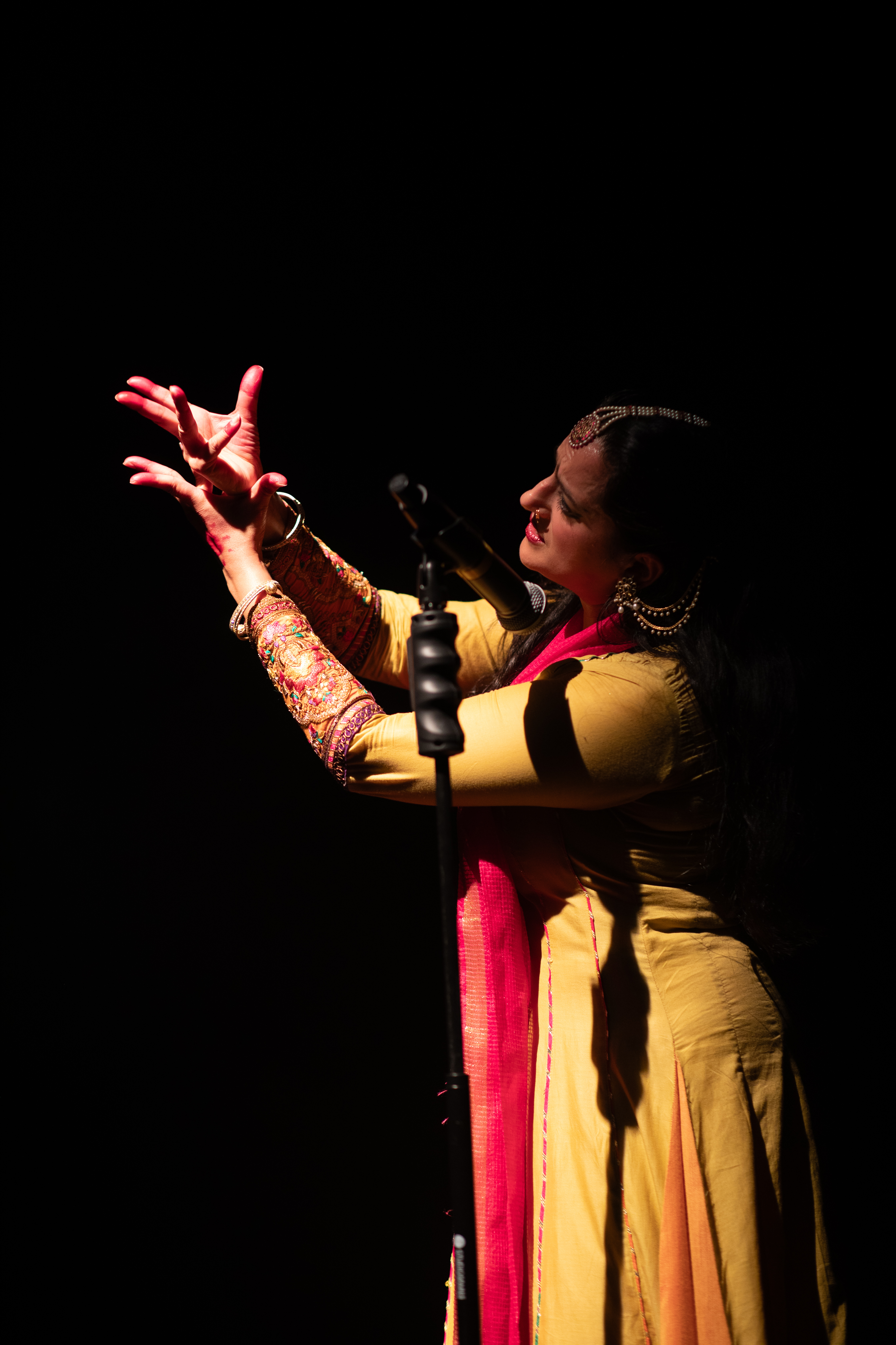 Image representing Roshni - a captivating combination of Kathak dance, with live music and vocals from The Astor Theatre