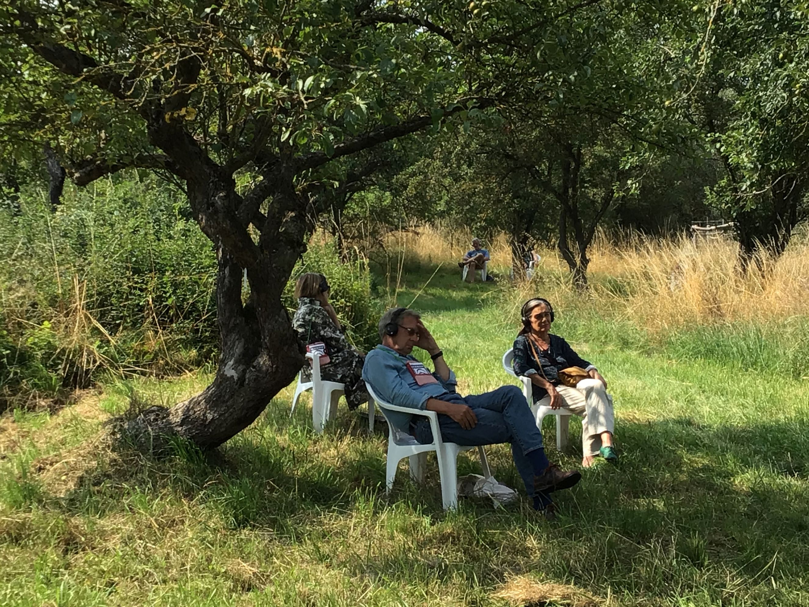 Image representing Listen al fresco - A unique listening experience in the Captain's Garden from The Astor Theatre